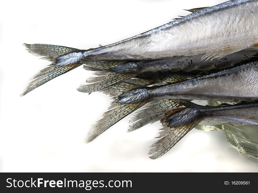 Heap of saury on glass plate