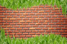 Brickwall And Curve Grass Stock Photography Brickwall And Curve Grass Stock Photography