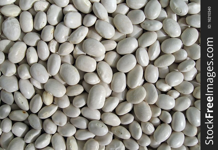 Treated seeds of white beans