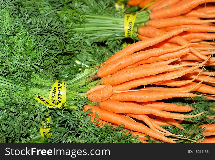 Bunches of carrots at a farmers market. Bunches of carrots at a farmers market.