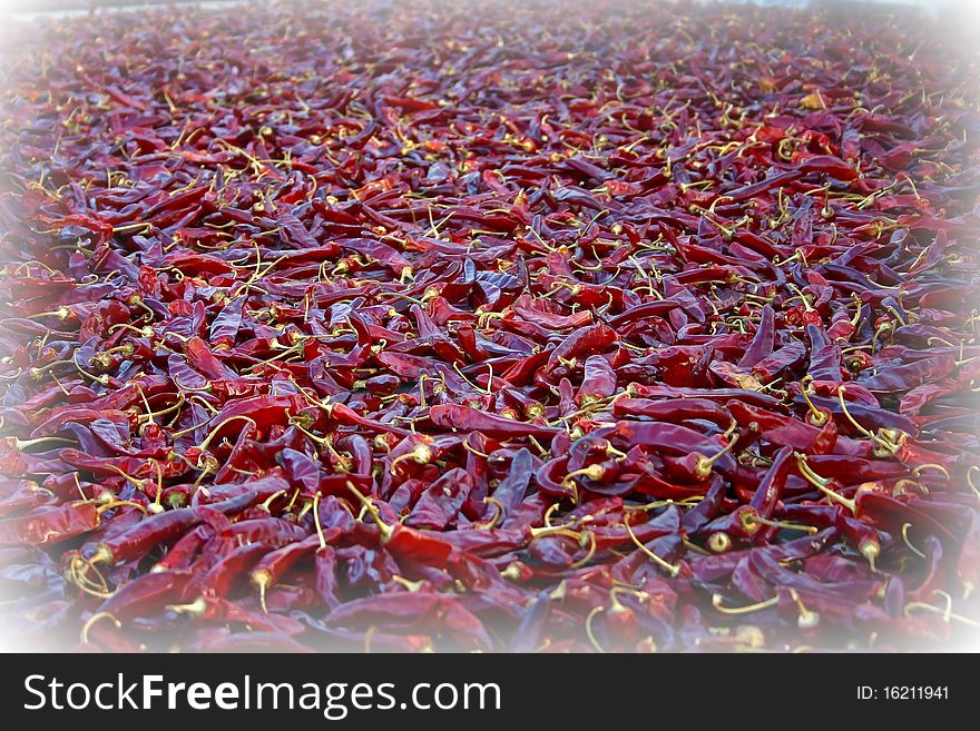 Red peppers being Sun-dried on a hot sunny summers day in the city of Suwon in South Korea. Red peppers being Sun-dried on a hot sunny summers day in the city of Suwon in South Korea