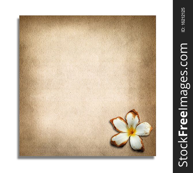 Old paper and plumeria isolated on white