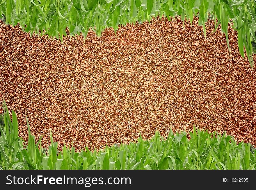 Sand wall and curve grass background