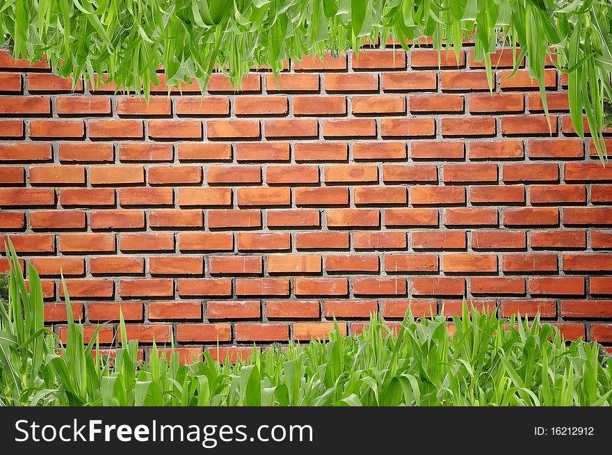 Brickwall and curve grass background