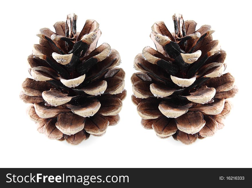 Two pine cones isolated on white