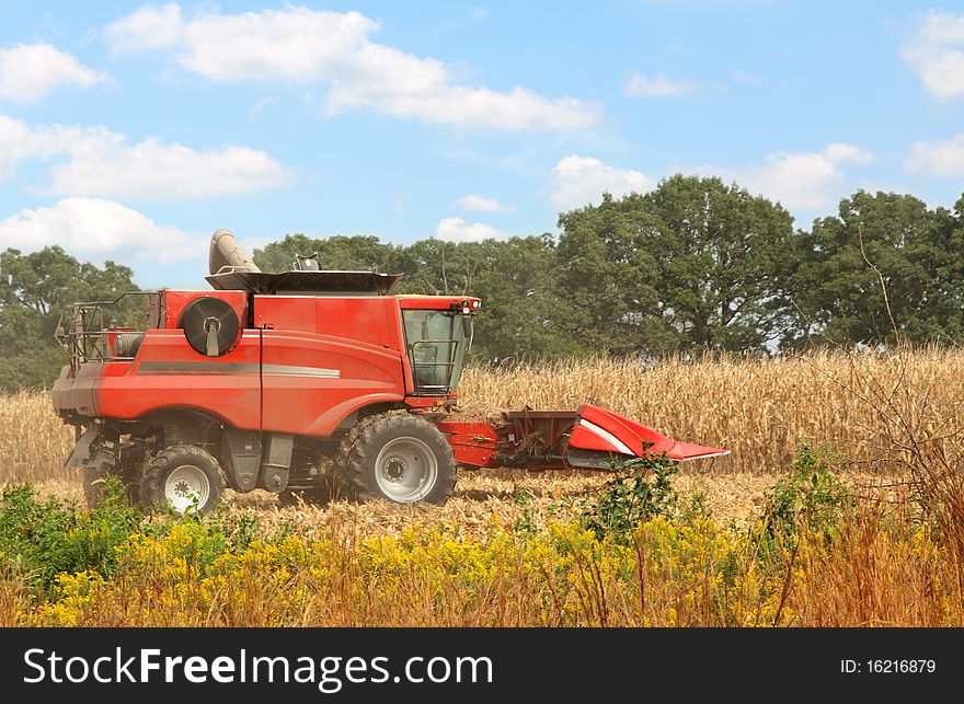 Red farm corn combine in a corn field. Red farm corn combine in a corn field