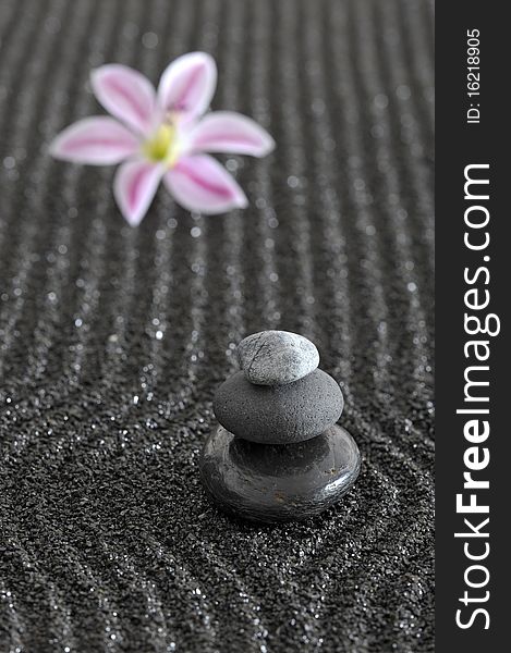 Zen garden in black raked sand with stones and flower