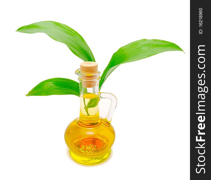 Bottle with vegetable oil and a green sprout behind
