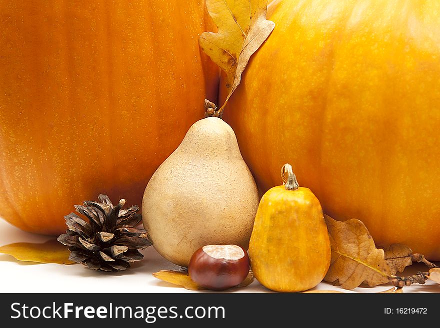 Orange pumpkins with chesnuts for halloween decoration. Orange pumpkins with chesnuts for halloween decoration