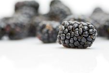 Blackberry Stock Photography Blackberry Stock Photography