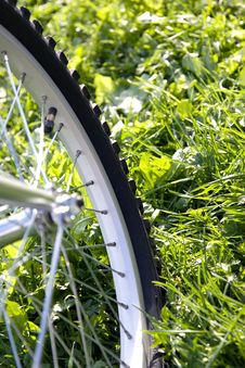 Bicycle Wheel Stock Photos