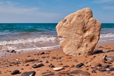 The Head Of A Stone Lion Royalty Free Stock Photography The Head Of A Stone Lion Royalty Free Stock Photography