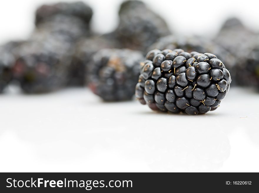 Blackberry fruit scattered on a white background
