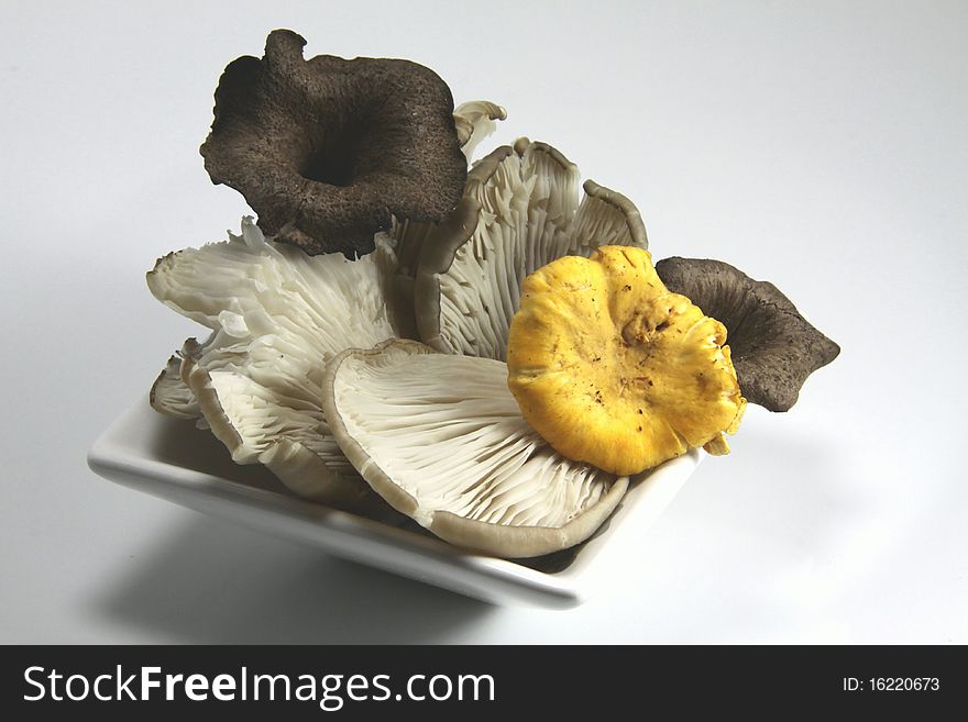 Chanterelle , Oyster Mushrooms And Horns Of Plenty