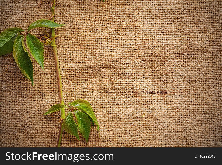 Blank Grungy Canvas Background