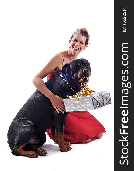Purebred rottweiler sitting with gift and woman in a red dress. Purebred rottweiler sitting with gift and woman in a red dress