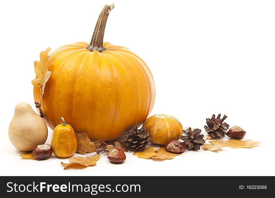Orange pumpkins with chesnuts for halloween decoration. Orange pumpkins with chesnuts for halloween decoration