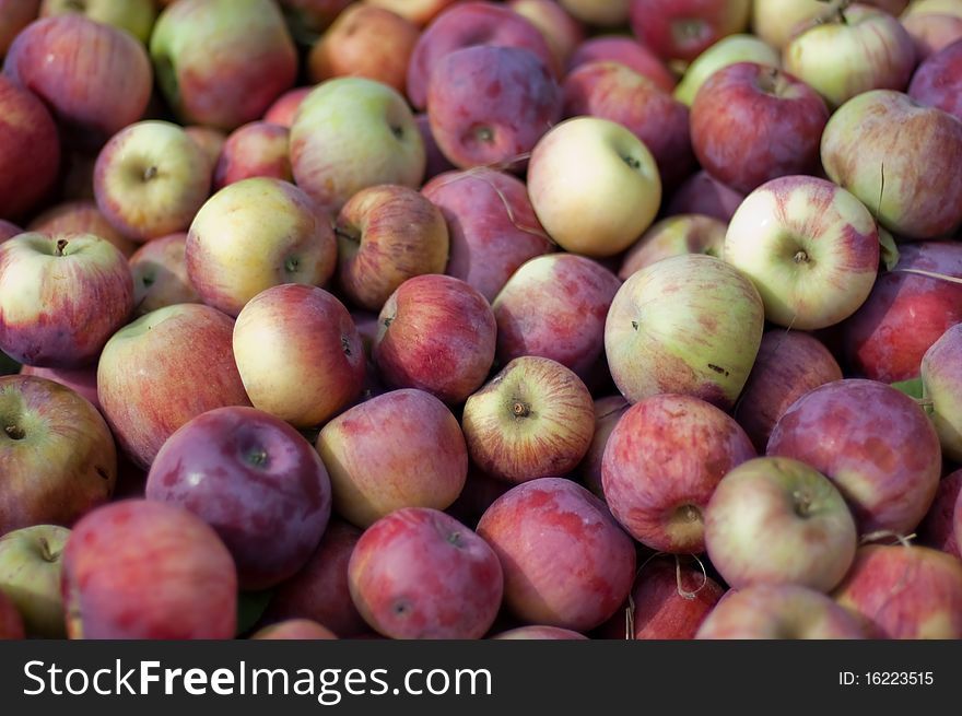 Image of the cortland and mcintosh apples.