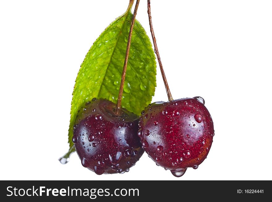 Two red cherries in dew isolated on the white. Two red cherries in dew isolated on the white