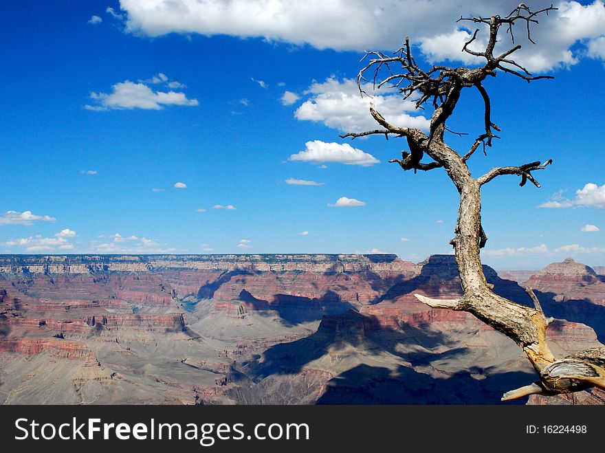 The blue sky with the grand canyon background. The blue sky with the grand canyon background