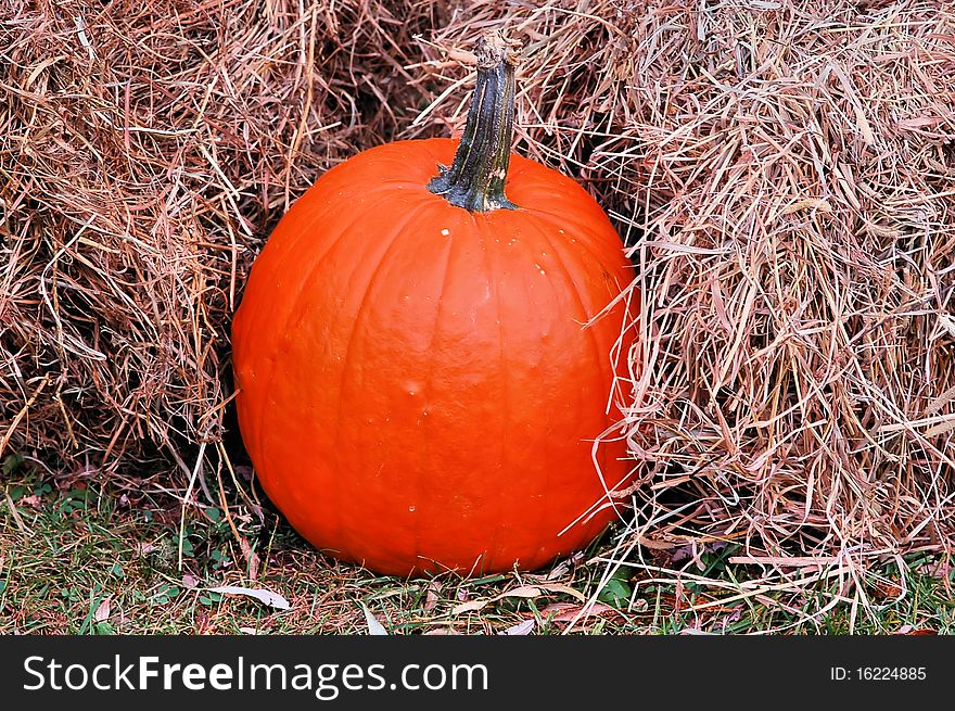 A single pumpkin sits next to bales of hay. It is Fall in the picture. A single pumpkin sits next to bales of hay. It is Fall in the picture.
