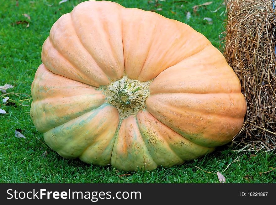 A large orange pumpkin sits on the grass next to a hay bale . A large orange pumpkin sits on the grass next to a hay bale .