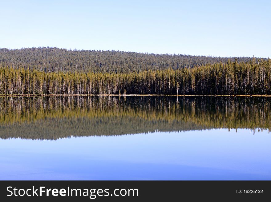 Reflections of the pine forest trees in Squaw Lake at the Sky Lakes Wilderness in southern Oregon. Reflections of the pine forest trees in Squaw Lake at the Sky Lakes Wilderness in southern Oregon.