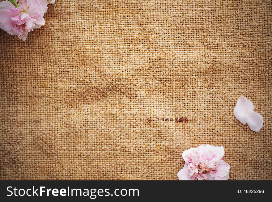 A blank grungy canvas texture. Great for backgrounds. A blank grungy canvas texture. Great for backgrounds.