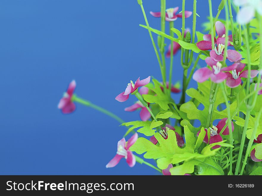 Fake flower make from plastic with blue background