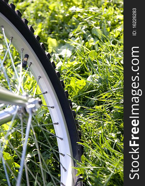 Bicycle wheel on the grass
