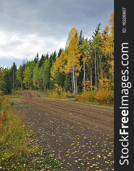 Dirt road running through autumn countryside. Dirt road running through autumn countryside