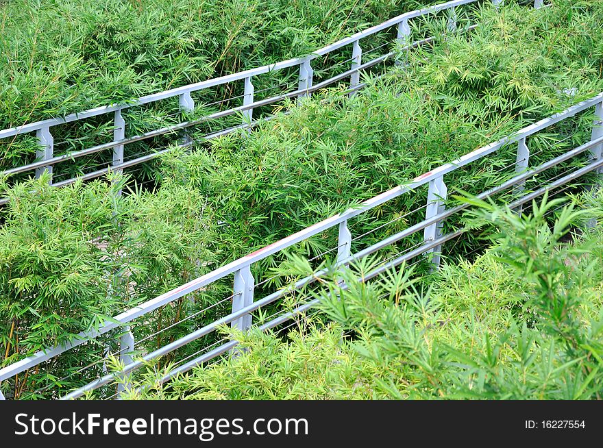 Hand rail in bias among bushes and green plant. Hand rail in bias among bushes and green plant.