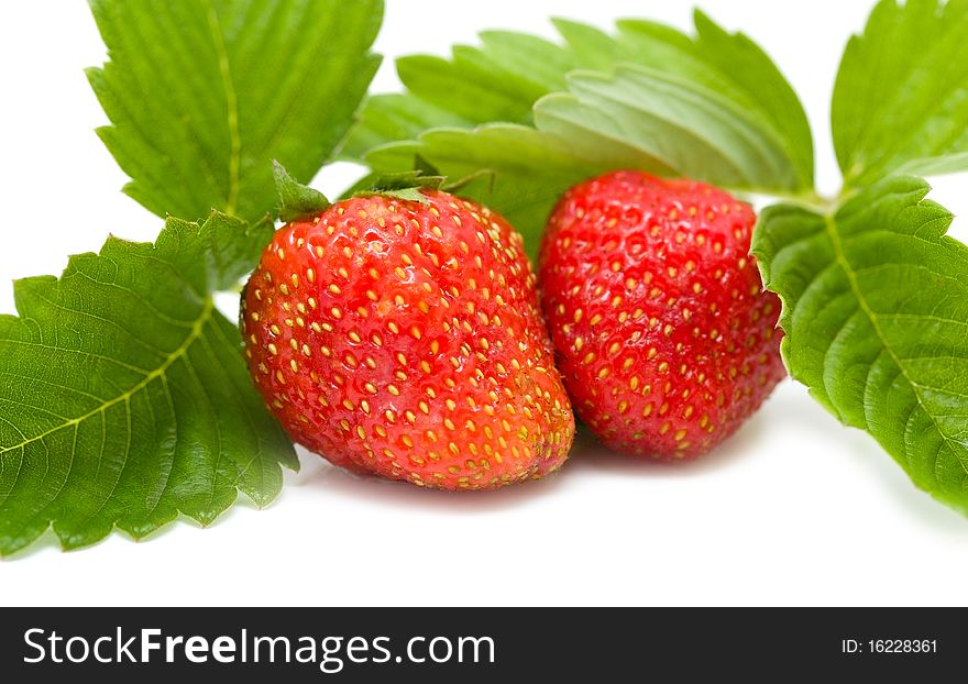 Beautiful strawberries isolated on white with a shade. macro