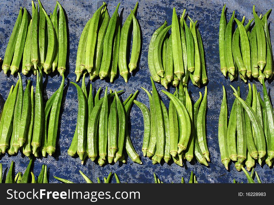 Lady's fingers or okra, laid out on a blue background. The vegetable has been picked fresh and look delicious.
