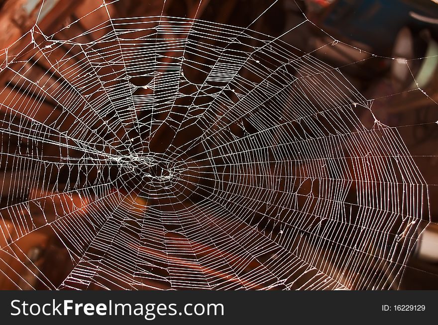Natural Web