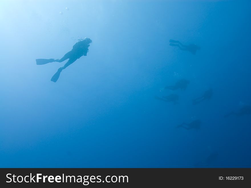 Scuba Divers Silhouettes Underwater.