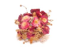 Bouquet Of Dry Flowers Royalty Free Stock Photos Bouquet Of Dry Flowers Royalty Free Stock Photos