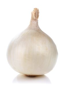 Onion Stock Images