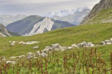 National Park Vanoise Stock Images National Park Vanoise Stock Images