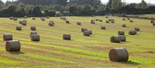 Hay Bales. Stock Photo Hay Bales. Stock Photo