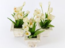 Artificial Flowers Stock Photos Artificial Flowers Stock Photos