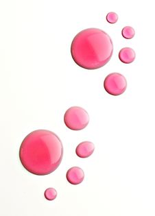 Animal S Paw From The Water Drops. Stock Image