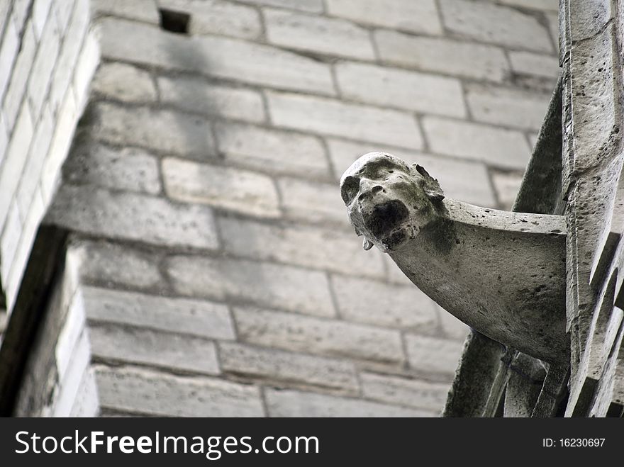Gargoyle on the Notre Dame Cathedral
