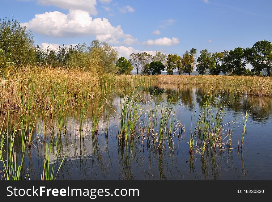 An old pond in an autumn landscape under white clouds. An old pond in an autumn landscape under white clouds