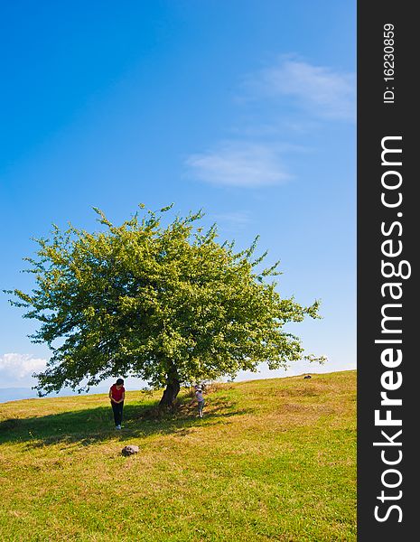 Summer Landscape Tree Child And Mother