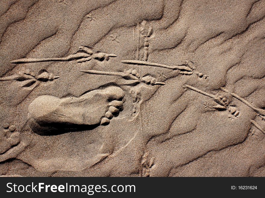 Footprint of man and birds in the sand