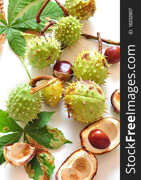 Green and brown chestnuts on a white background