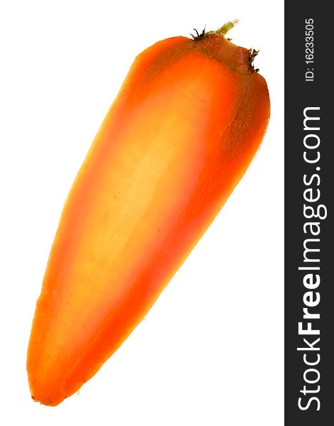 Slice of whole carrots. Taken against the light. Isolated on white background. Slice of whole carrots. Taken against the light. Isolated on white background.