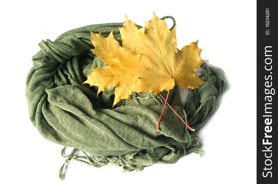 Yellow maple leaves and green scarf on the white background. Photo taken on September, 2010.