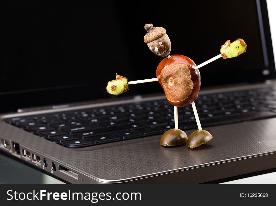 Chestnut man on open laptop with copy space. Chestnut man on open laptop with copy space